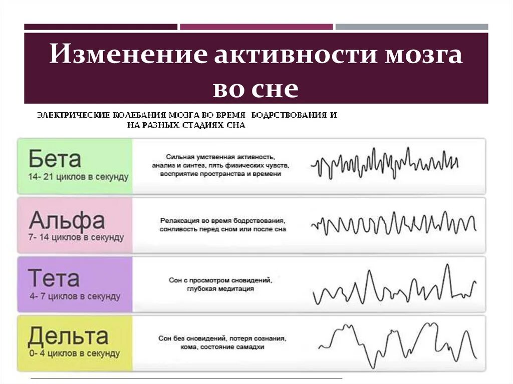 Тета сон. Альфа бета тета ритмы мозга. Мозговые волны Альфа бета тета гамма. Состояние Альфа Бетта тетта Дельта. Альфа бета гамма Дельта ритмы мозга.