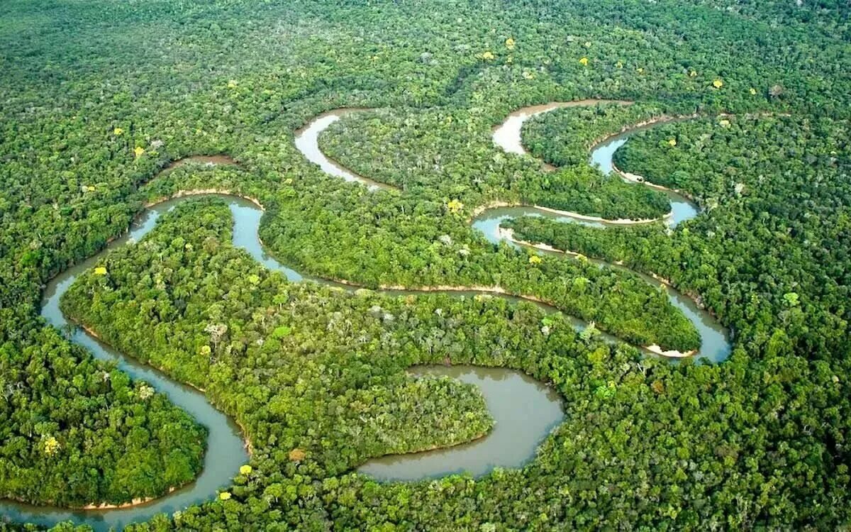 Какая самая большая река. Южная Америка река Амазонка. Река Амазонка в Бразилии. Национальный парк Бразилии Амазония. Амазонская низменность.