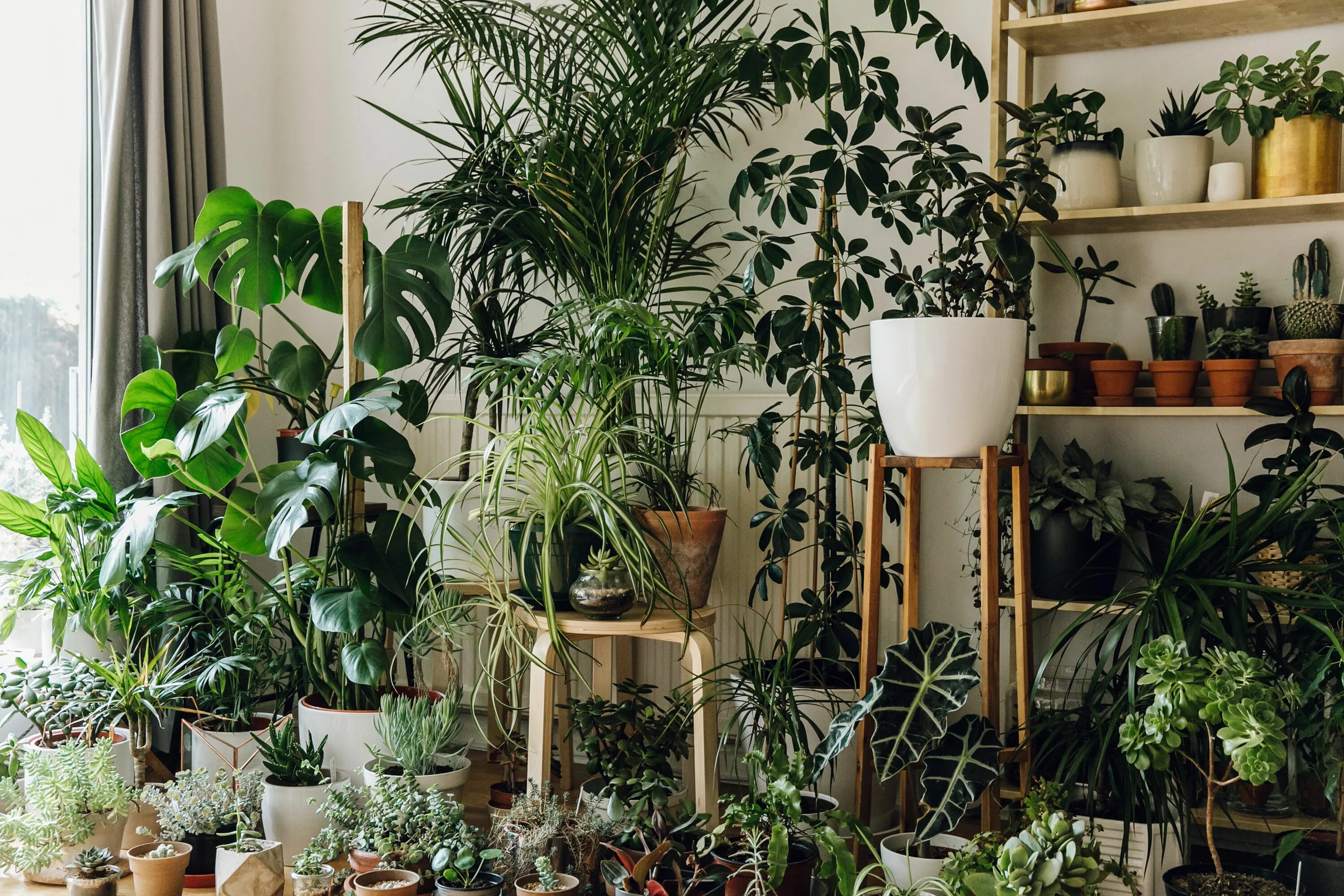 Pin by Dawn Fredrickson on decore Interior design plants, Sunroom decorating, In