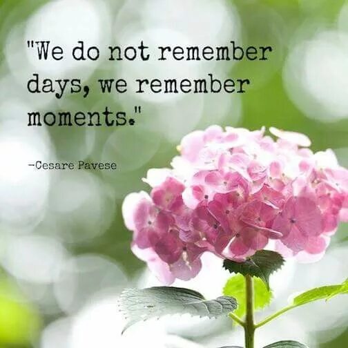 The day we remember. We do not remember Days, we remember moments. We do not remember Days, we remember moments перевод. Мы запоминаем не дни мы запоминаем мгновения. We do not remember Days we remember moments картина.