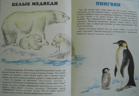 Почему белые медведи не кушают пингвинов