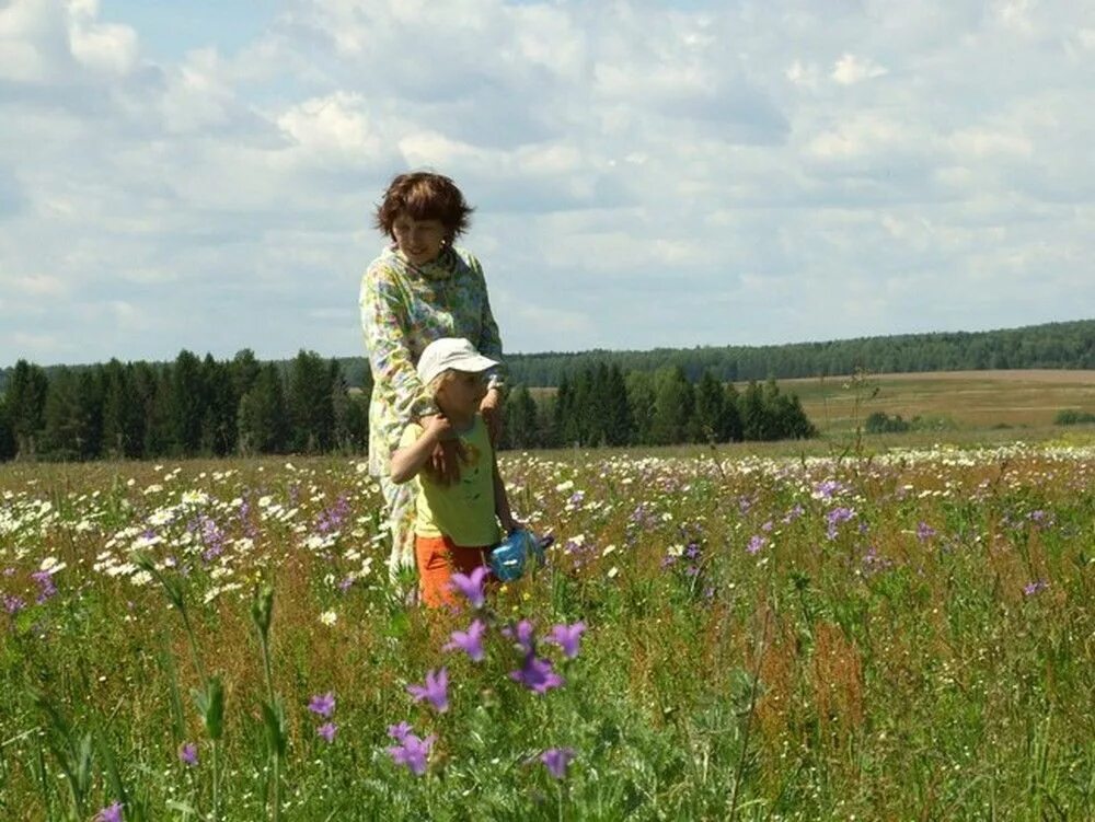 Переехали из города в село. Перебрались из города в деревню. Уехали в деревню из города. Канал из города в деревню. Наташа в деревне.