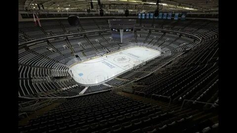 Arena видео