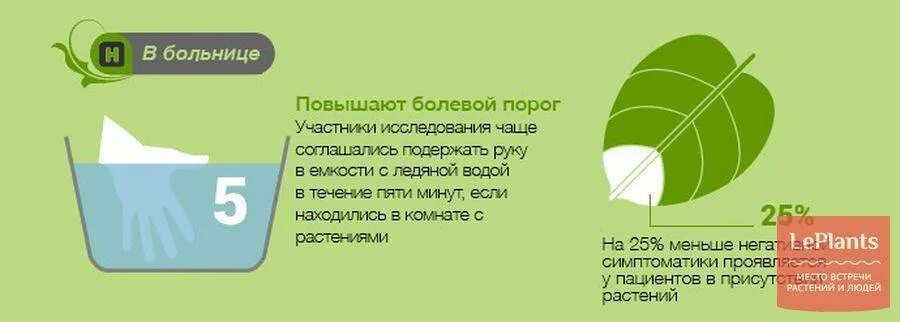 Девушки порог болевой порог. Высокий болевой порог. повышенный болевой порок. как повысить болевой порог. увеличенный болевой порог.