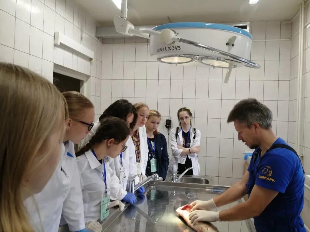 Ветеринарный факультет. Практика студентов ветеринаров. Студент в халате. Практика студентов ветеринаров. Практика студентов ветеринаров.