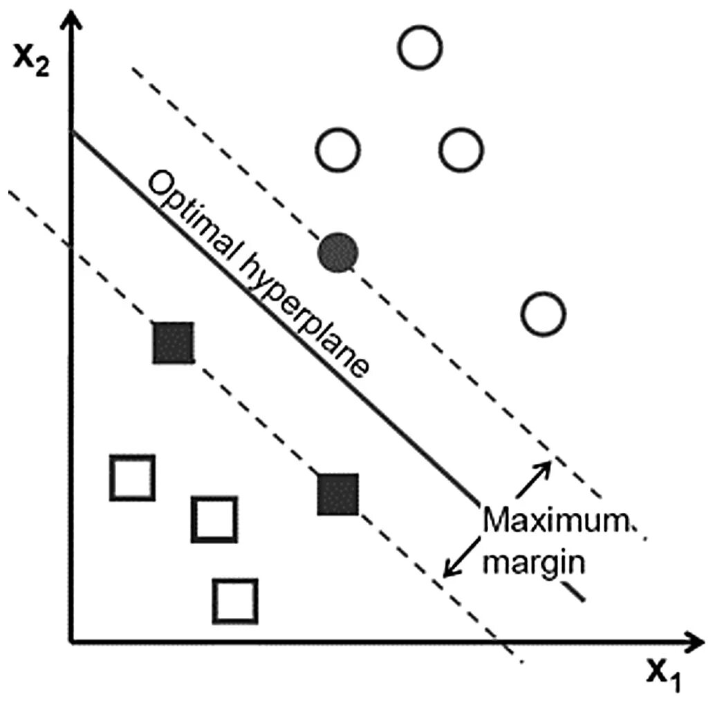 Support vectors