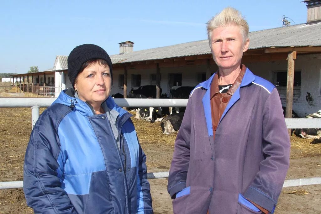 Заведующие ферм. Заведующая фермы в осенцах. Заведующие ферм. Ермерское хозяйство «родной дом«, г. Заведующая фермой.