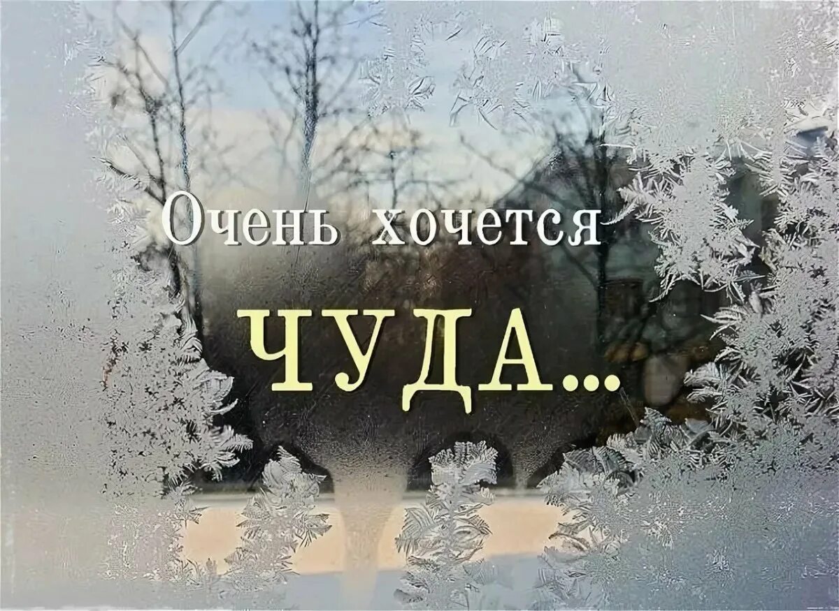 Хочу есть снег