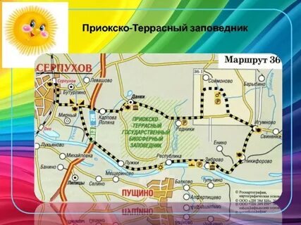 Приокско террасный заповедник находится в зоне