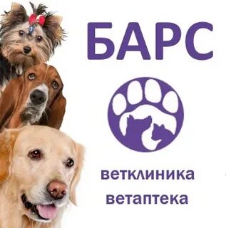 Ветклиника барс
