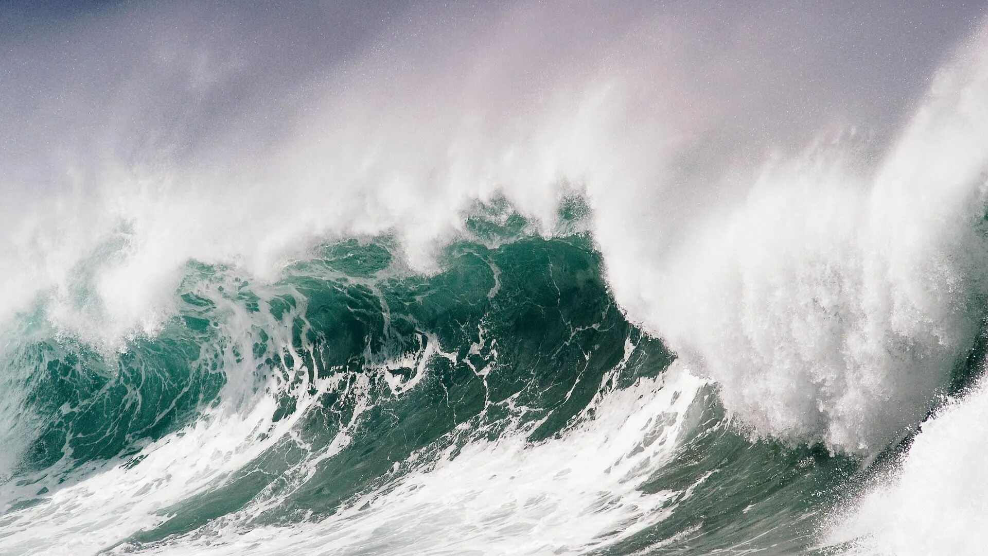 Волна тревоги. Море океан волны шторм ЦУНАМИ. ЦУНАМИ это Океанические волны высотой. Море, волны. Океан волны.