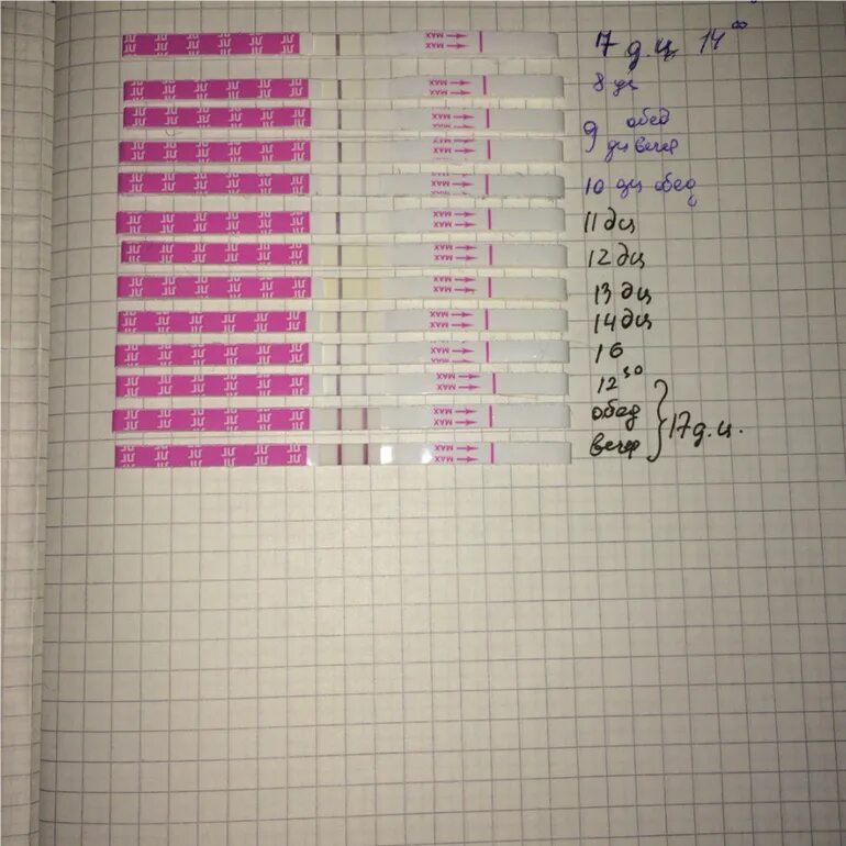 Тест на 17 ДЦ. 19 ДЦ тест. Беременность 15 ДЦ. На 17 ДЦ И 4 ДПО. Овуляция на 17 день