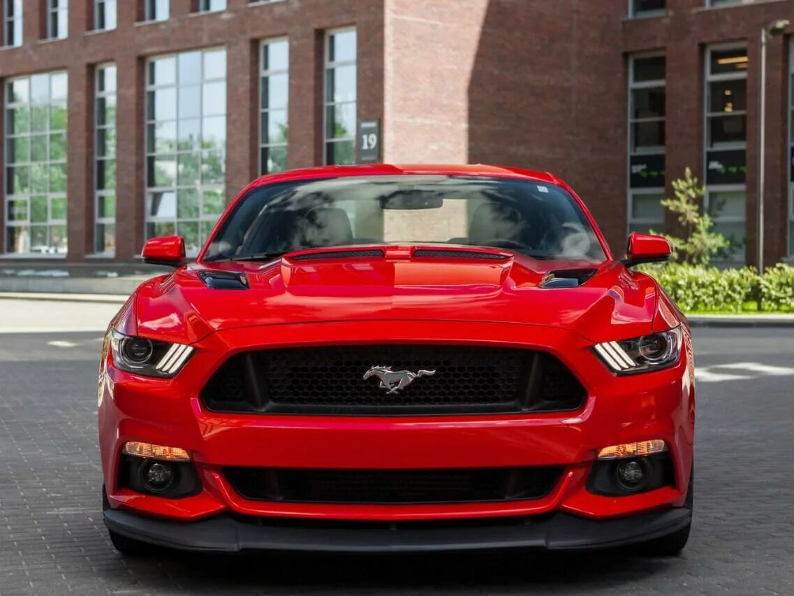 Форд мустанг красный. Ford Mustang vi красный. Форд Мустанг купе красный. Красный Мустанг 2016.