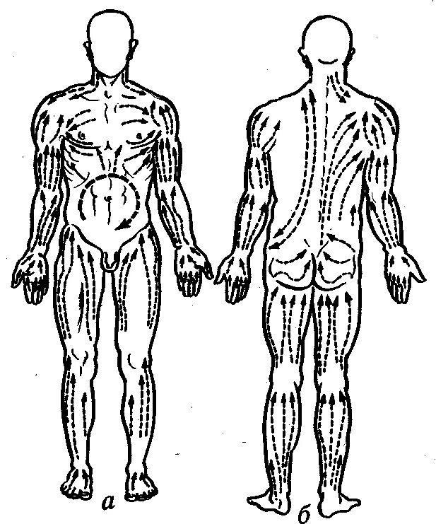 Направление массажных движений при массаже. Схема направления движения лимфы в теле человека. Лимфатическая система направление массажных движений. Лимфатическая система массажные линии.