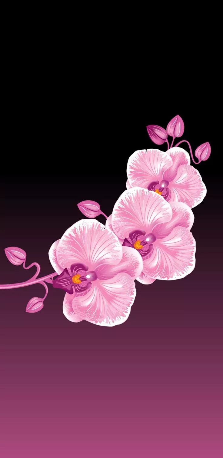 Самсунг флавер. Samsung flowers. Яркие розовые цветы. Голубой одуванчик. Samsung flowers.
