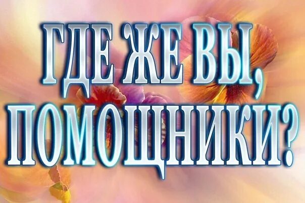 Сбор стоит. Поступлений нет. помогите закрыть сбор. поступлений не было сбор стоит. поступлений нет картинки.