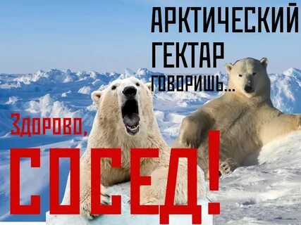 Дальневосточная и арктическая
