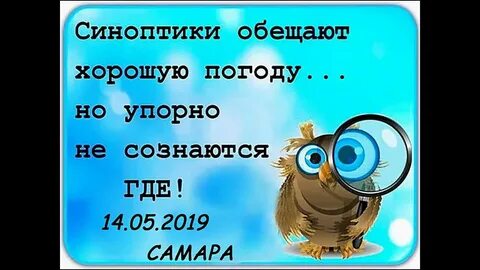 Погода кажется будет хорошей