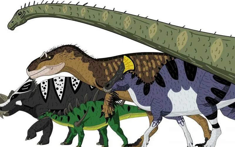 Динозавры 8 букв. Тираннотитан против тарбозавра. Череп Горгозавра. Шунозавр. Протоцератопс и Ютораптор.