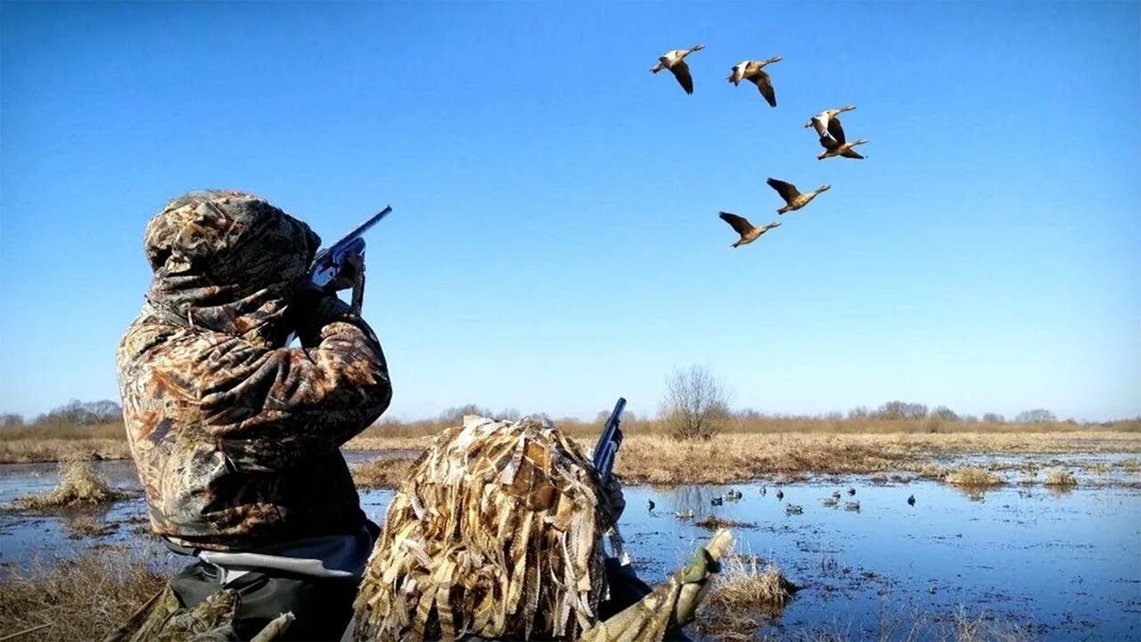 Spring hunting
