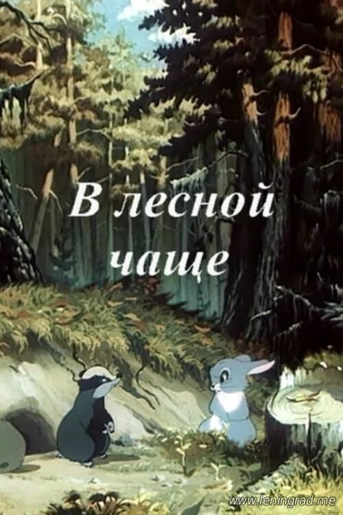 В лесной чаще слушать. В лесной чаще мф. в лесной чаще 1954. мультик в лесной чаще. скребицкий в лесной чаще.