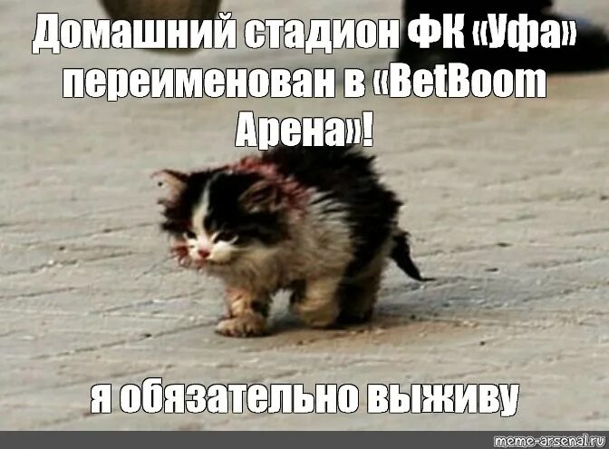 Раздуплился. Раздуплиться с этой игрой. Раздуплюсь мем. Раздуплилась картинка. Раздуплюсь мем.