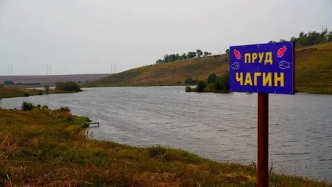 Воронежские водоемы