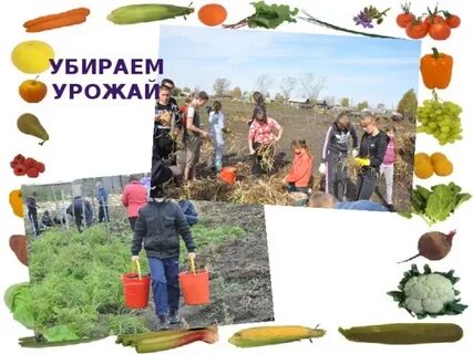Убран урожай слова