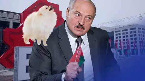 Шпиц лукашенко
