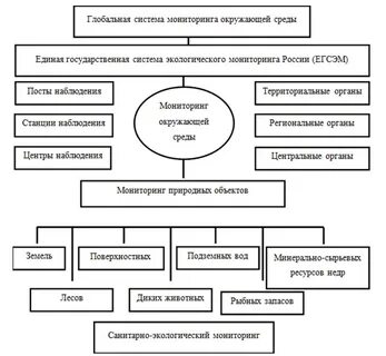 Службы мониторинга окружающей среды