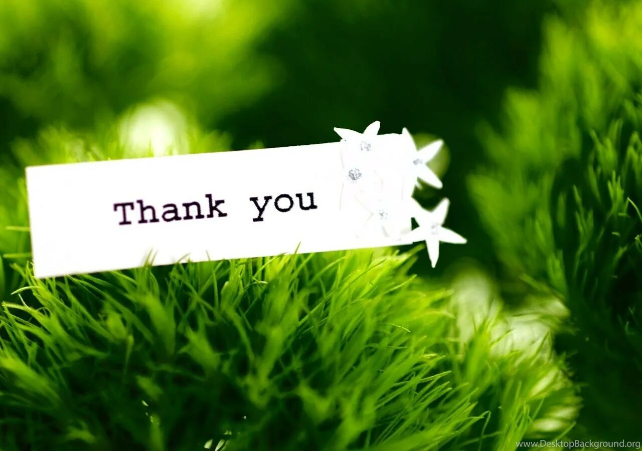 Thank you enjoy. Thank you. спасибо на фоне природы. thank you картинки. фон спасибо.