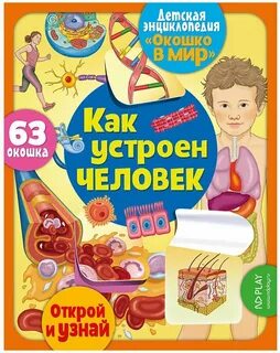 Книга мир в окошке