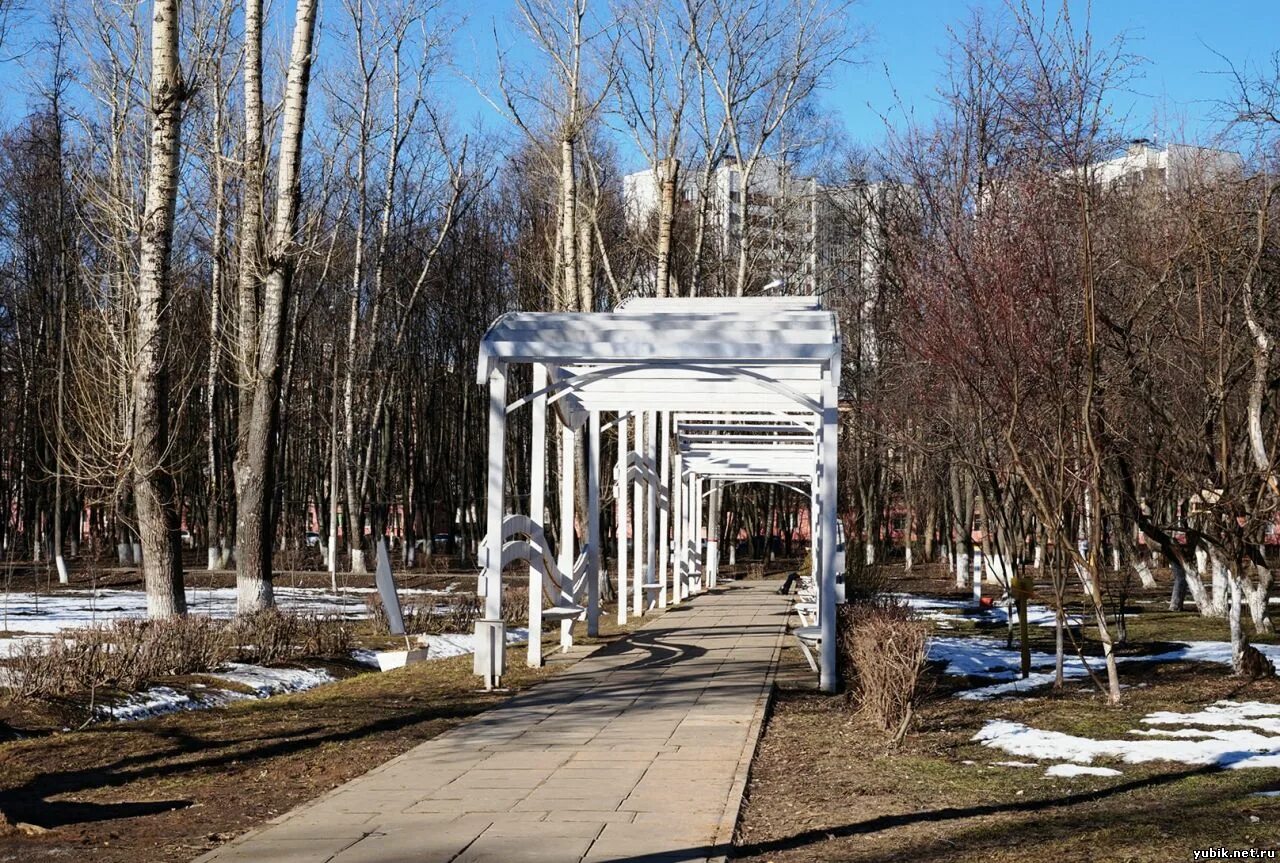 Костино цены. Парк Костино Королев. ДК Костино Королев. Город Королев парк Костино. Парк ДК королёв.