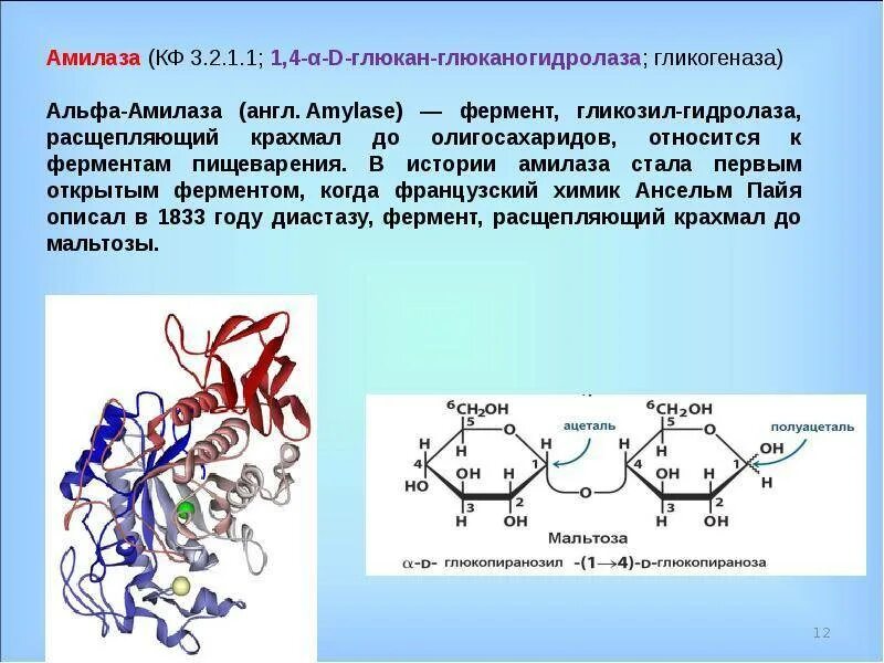 Фермент амилаза содержит. Фермент альфа амилаза биохимия. альфа и бета амилаза. химическая структура амилазы слюны. амилаза структура.