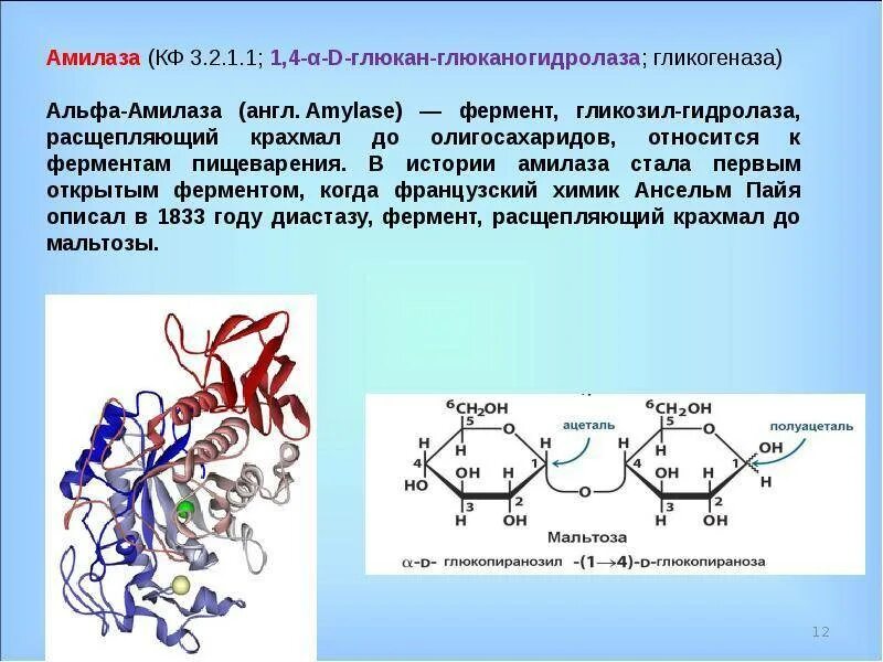 Фермент альфа амилаза