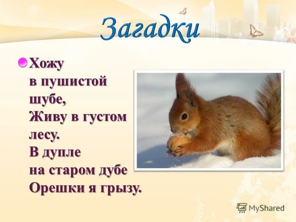 Хожу в пушистой шубе. Хожу в пушистой шубе живу в густом. Хожу в пушистой шубе. Живу в густом лесу в дупле на старом дубе орешки я грызу. Хожу в пушистой шубе живу в густом лесу.