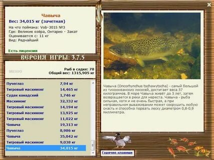 Река возвращайся