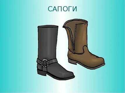 Сапогов слово