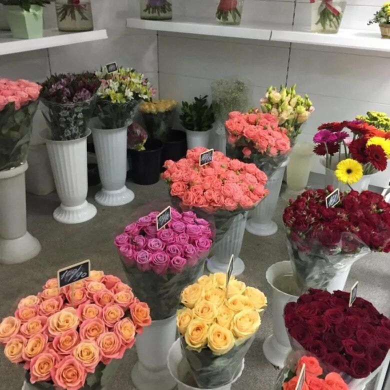 Все цветы по одной цене. Цветы в цветочном магазине. Цветы магазинные. Цветы на продажу. Оборудование для магазина цветов.