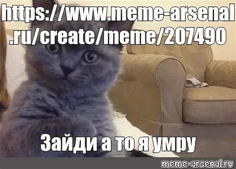 Меме Арсенал ру. Meme Arsenal.ru. Meme Arsenal.ru мемы. Туть Мем. Www memes