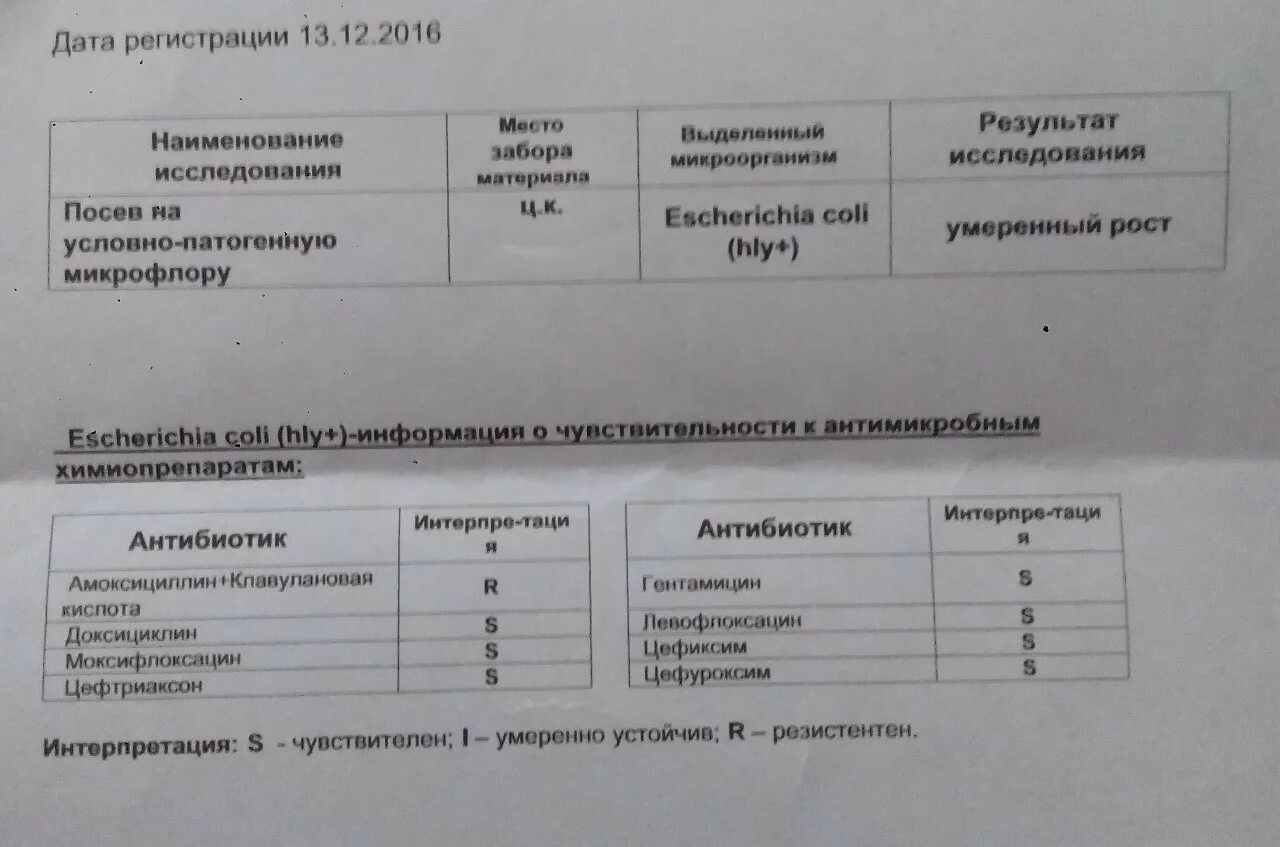 Посев на флору уретра у мужчин. Escherichia coli в посеве мочи у женщин. Стрептококк агалактия чувствительность к антибиотикам. Бак посев мочи escherichia coli 10. Норма кишечной палочки в кале.