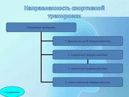 Спортивное совершенствование в избранном виде спорта