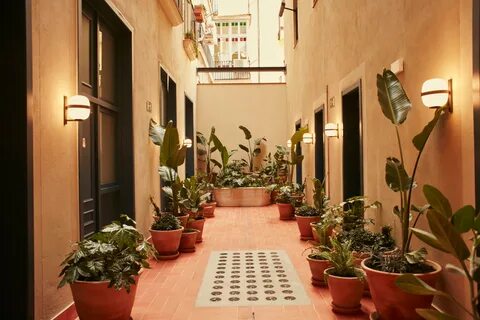 Plant hotel