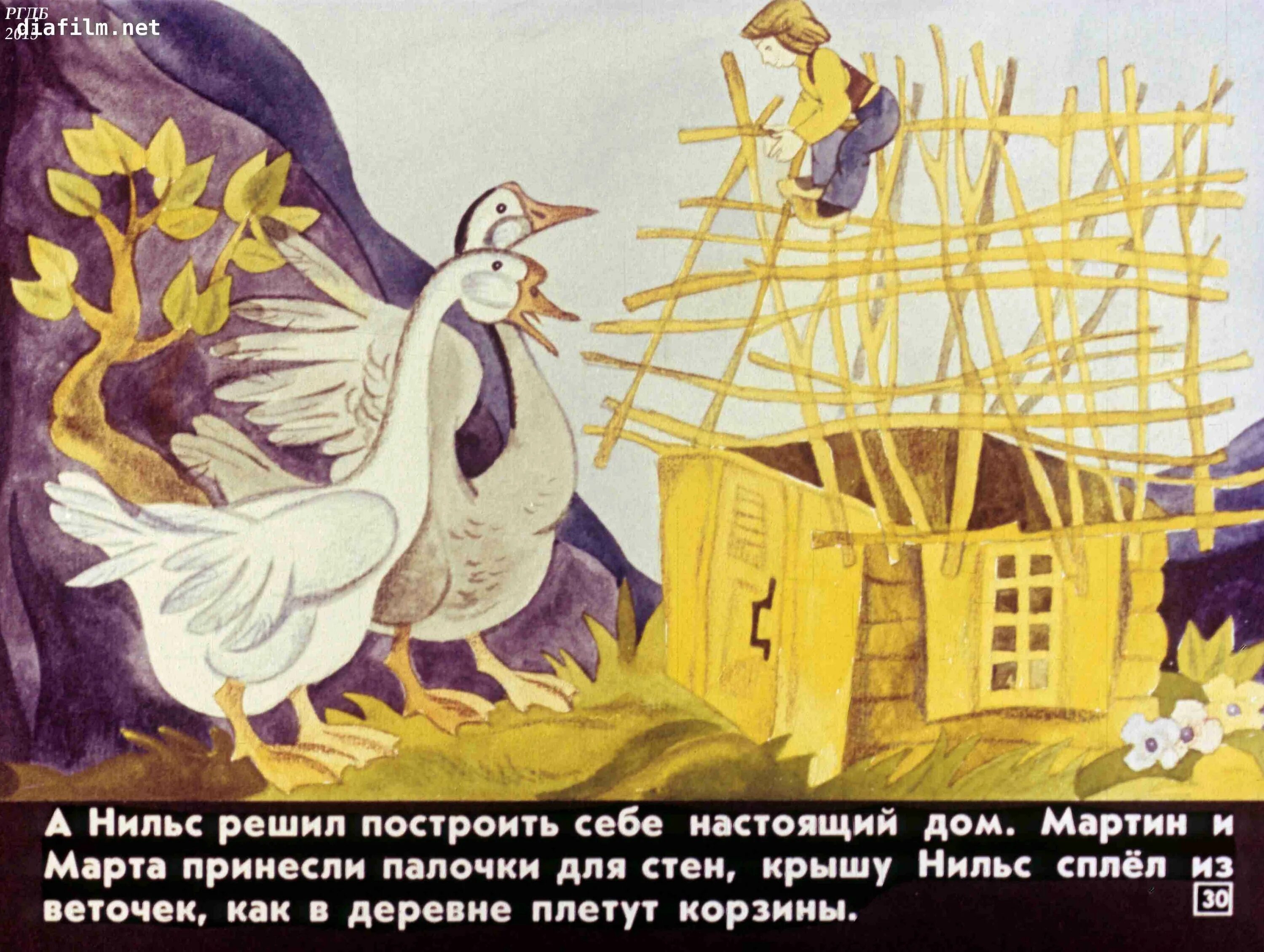 Путешествие нильса с дикими краткое содержание. Чудесное путешествие Нильса с дикими гусями. Иллюстрация к сказке чудесное путешествие Нильса с дикими гусями.