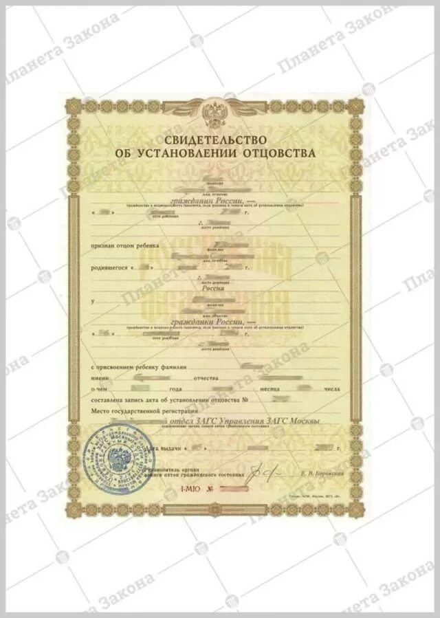 Свидетельство об установлении отцовства что это. Свидетельство о установлении отцовства и свидетельство о рождении. свидетельство об установлении отц. свидетельство об установлении отцовства образец. свидетельство об установлении отцовства загс.
