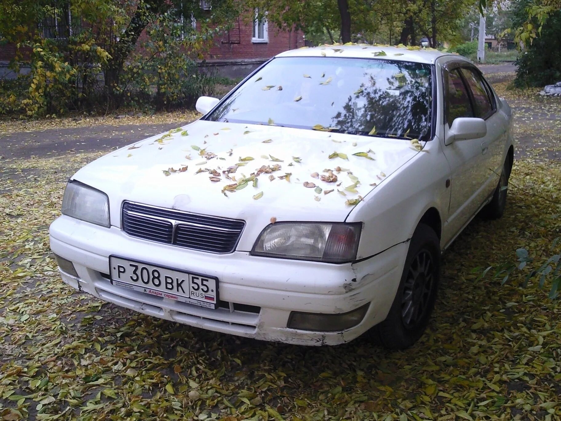 Камри 95 года. Toyota Camry 95. Тойота Камри 95 года. Камри 95 кузов.