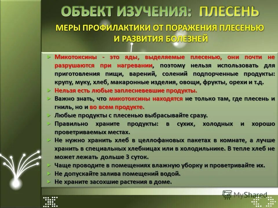 панель аллергенов плесени ige. результаты аллергенов. анализ на плесень. результат анализа на грибок ногтя. анализ на плесень.