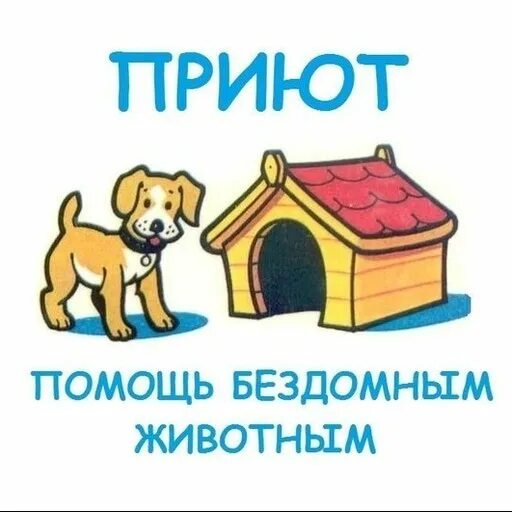 Помощь животным хочу домой. Помощь приюту для животных. помоги приюту для животных. помогите приюту бездомных животных. помочь приютам для животных.