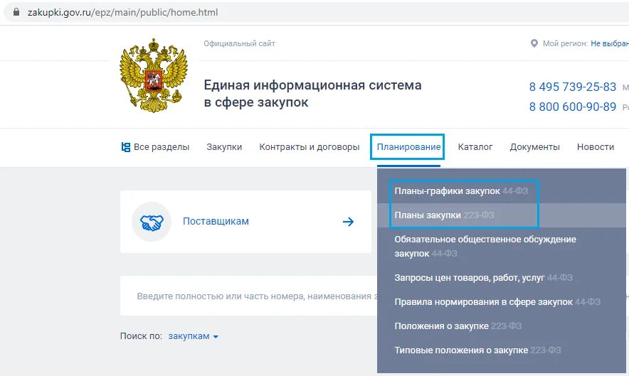 Https zakupki gov ru epz main. Размещение документации в ЕИС. Размещение документов в ЕИС 223фз. Закупки по 223 ФЗ. Госзакупки 223 ФЗ.