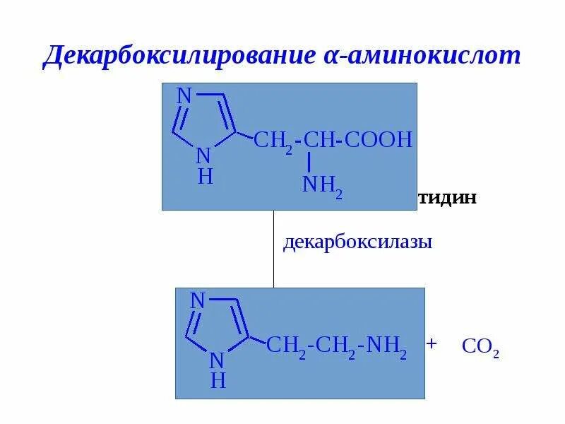 Декарбоксилирование метионина. Декарбоксилирование аминокислот витамин. Декарбоксилирование пролина. Декарбоксилирование тирозина реакция. Декарбоксилирование аминокислот реакция